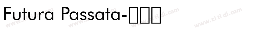 Futura Passata字体转换